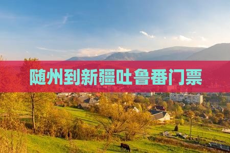 随州到新疆吐鲁番门票