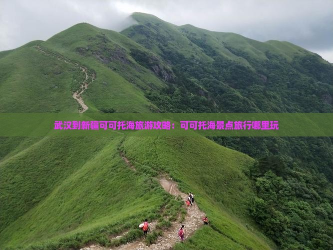 武汉到新疆可可托海哪里玩