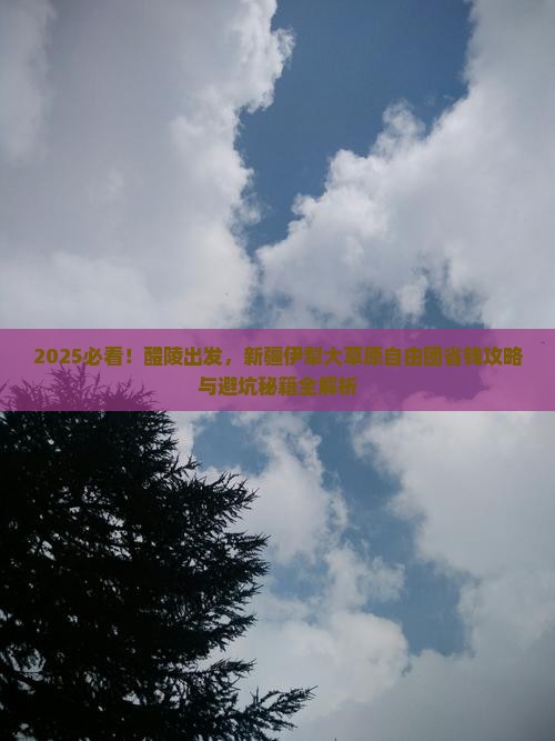 醴陵到新疆伊犁大草原自由团