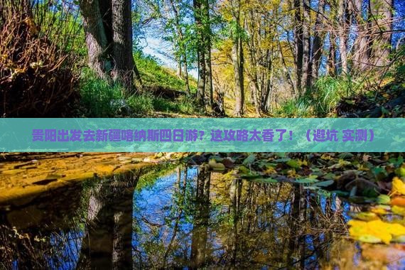 贵阳去新疆喀纳斯四日游