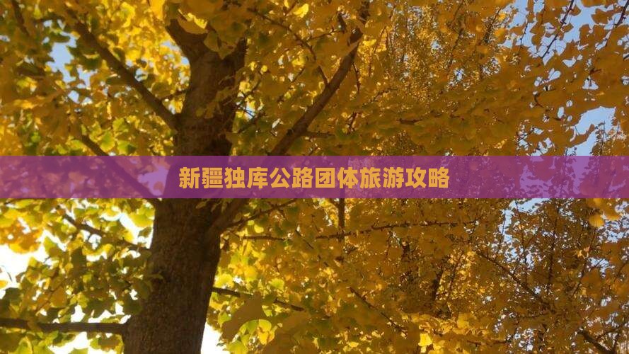 来宾去新疆独库公路团体旅游