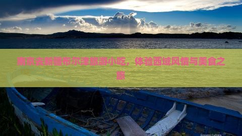 南京去新疆布尔津旅游小吃