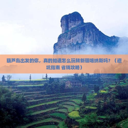 葫芦岛去新疆喀纳斯大型旅游团