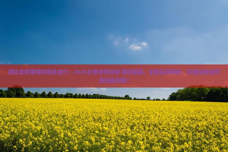 通化去新疆喀纳斯自由行