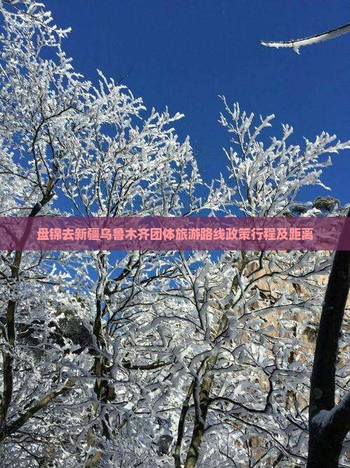 盘锦去新疆乌鲁木齐团体旅游