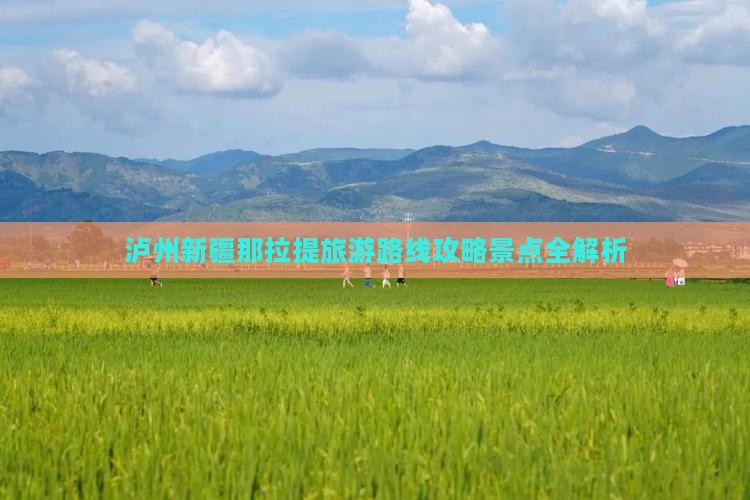 泸州去新疆那拉提团体旅游