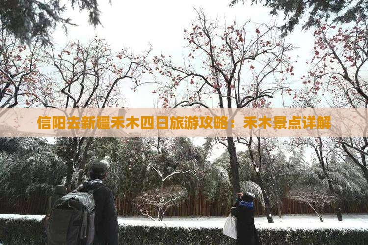 信阳去新疆禾木四日游