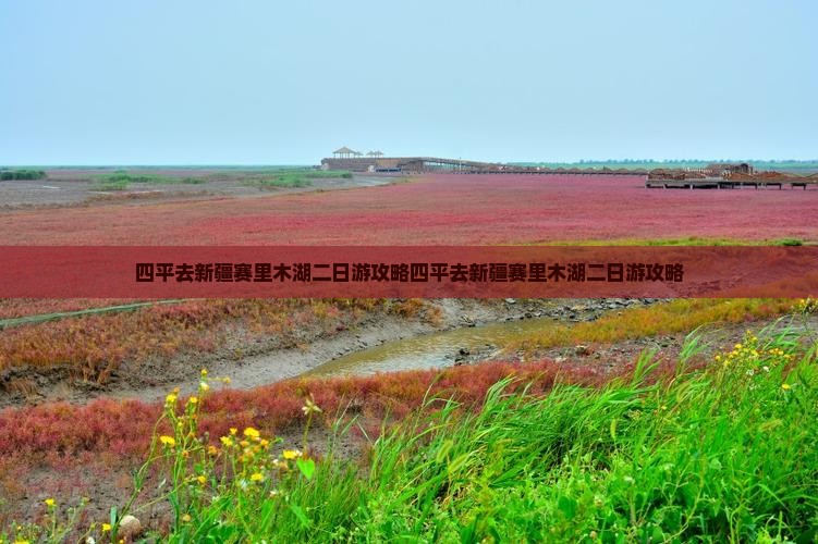 四平去新疆赛里木湖二日游