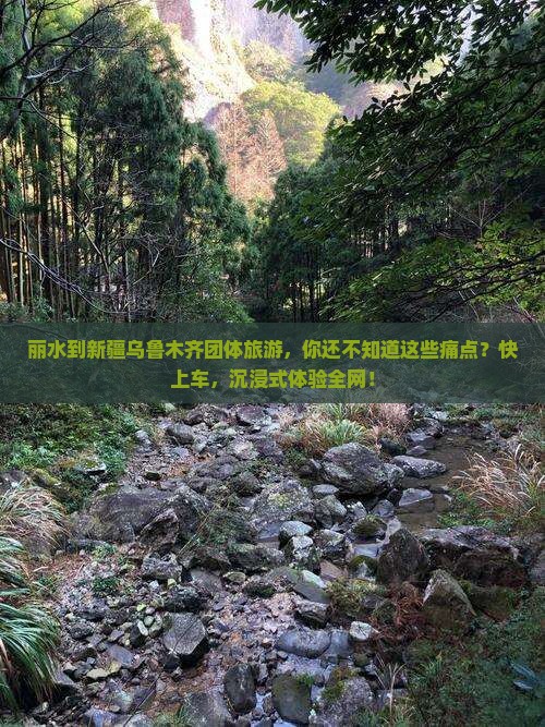 丽水到新疆乌鲁木齐团体旅游