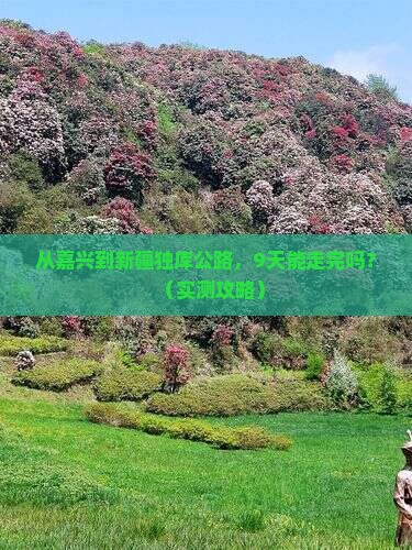 嘉兴到新疆独库公路自由行