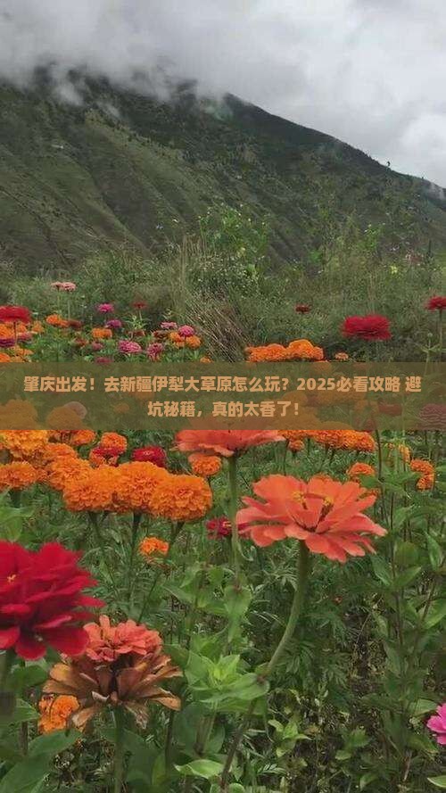 肇庆去新疆伊犁大草原旅行社