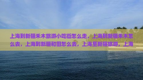 上海到新疆禾木旅游小吃