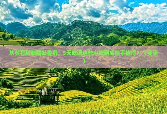 黄石到新疆吐鲁番旅游小吃