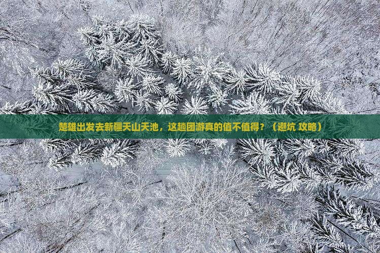 楚雄到新疆天山天池团体旅游