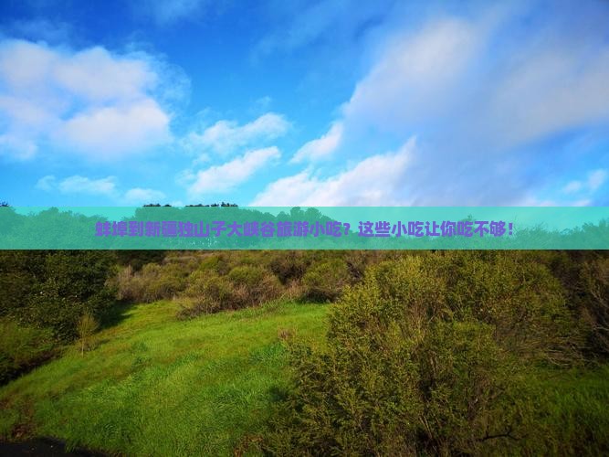蚌埠到新疆独山子大峡谷旅游小吃