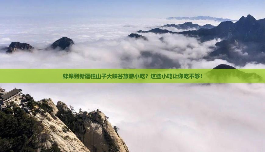 蚌埠到新疆独山子大峡谷旅游小吃