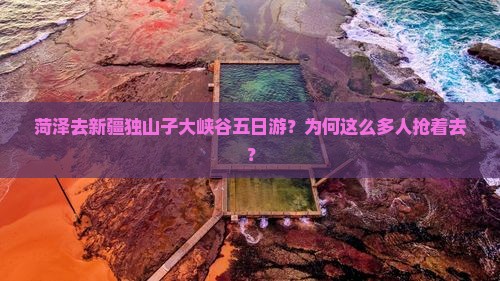 菏泽去新疆独山子大峡谷五日游
