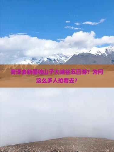 菏泽去新疆独山子大峡谷五日游