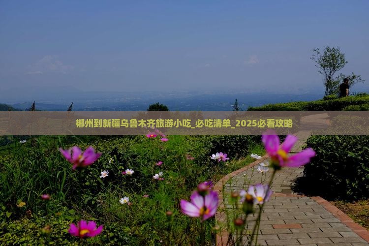 郴州到新疆乌鲁木齐旅游小吃