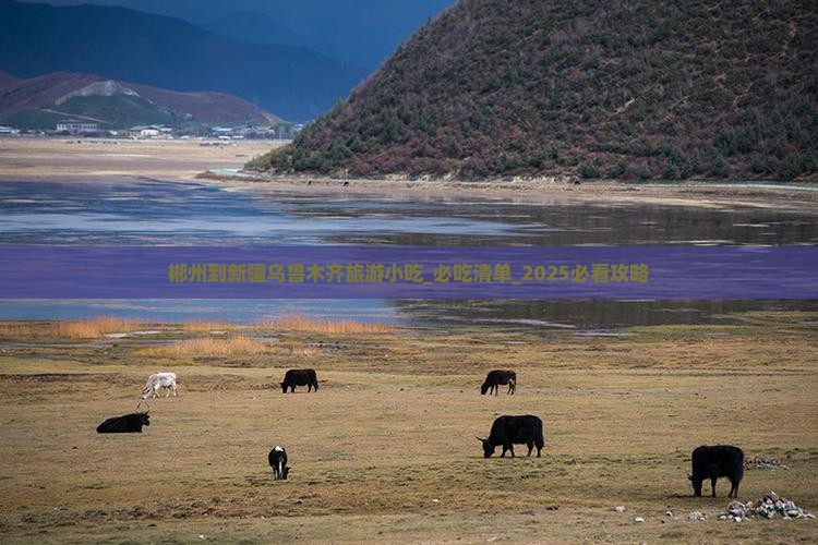 郴州到新疆乌鲁木齐旅游小吃