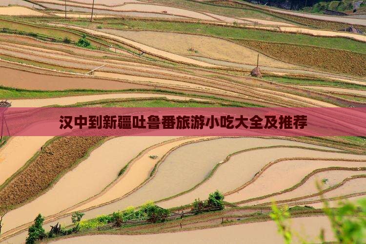 汉中到新疆吐鲁番旅游小吃