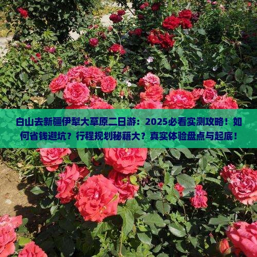 白山去新疆伊犁大草原二日游