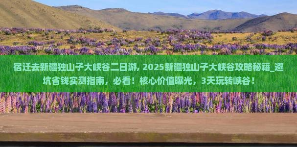 宿迁去新疆独山子大峡谷二日游