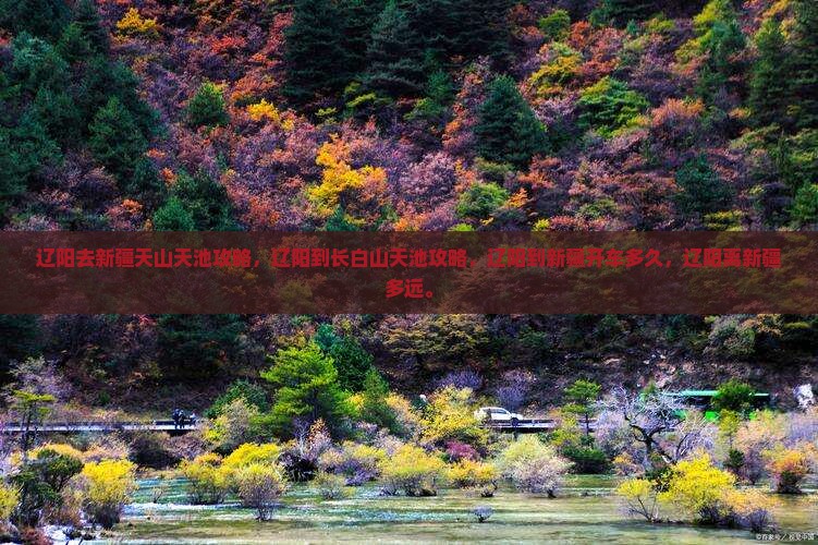 辽阳去新疆天山天池攻略