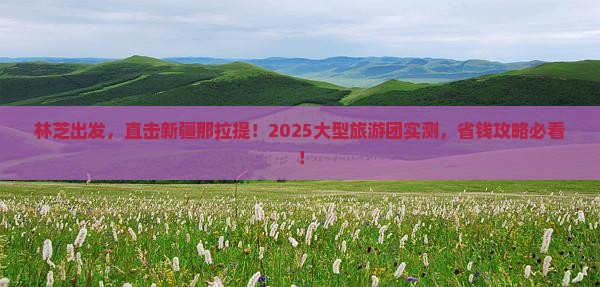 林芝去新疆那拉提大型旅游团