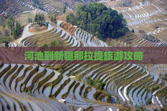 河池到新疆那拉提攻略