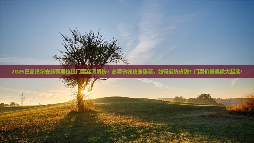巴彦淖尔去新疆那拉提门票