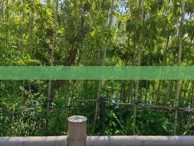 天水到新疆乌鲁木齐个人游