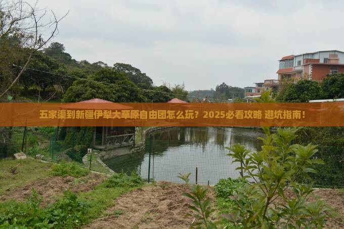 五家渠到新疆伊犁大草原自由团