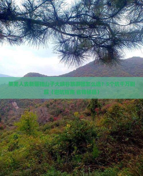 莱芜去新疆独山子大峡谷大型旅游团