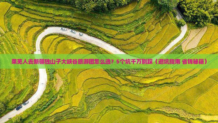莱芜去新疆独山子大峡谷大型旅游团