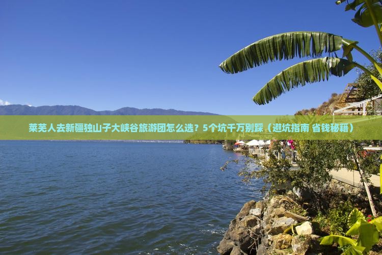 莱芜去新疆独山子大峡谷大型旅游团