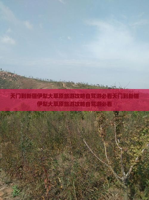 天门到新疆伊犁大草原旅游