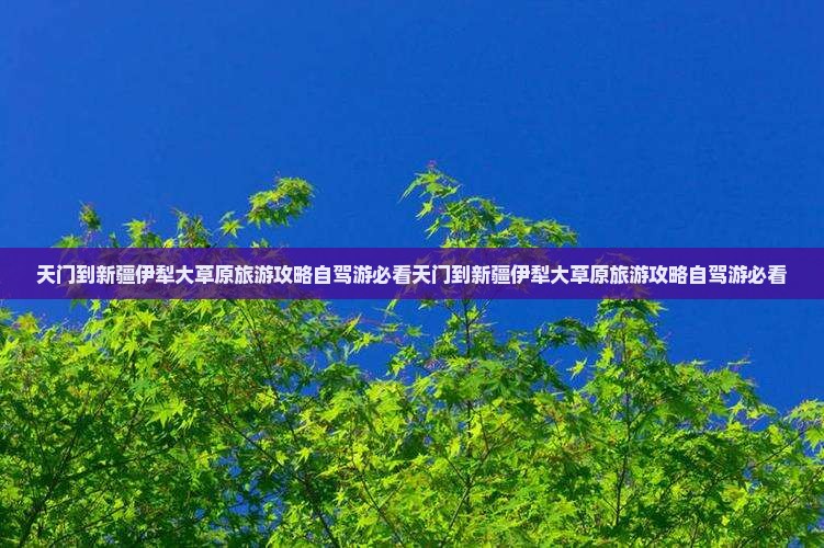 天门到新疆伊犁大草原旅游