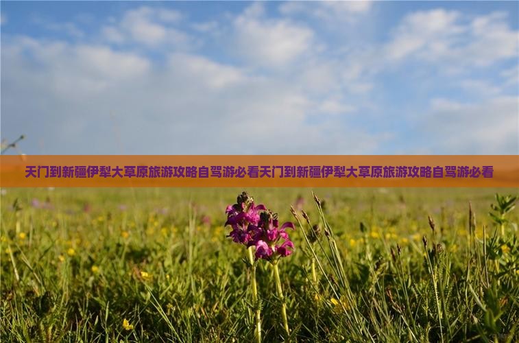 天门到新疆伊犁大草原旅游