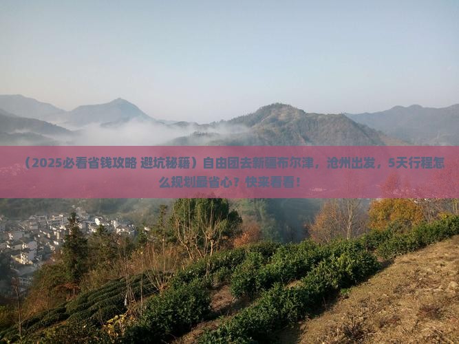 沧州到新疆布尔津自由团