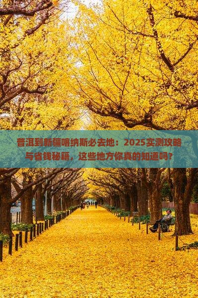 普洱到新疆喀纳斯必去地