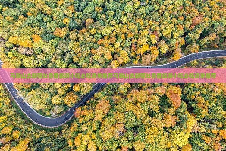 马鞍山去新疆吐鲁番旅游小吃