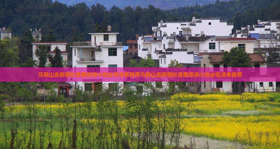 马鞍山去新疆吐鲁番旅游小吃
