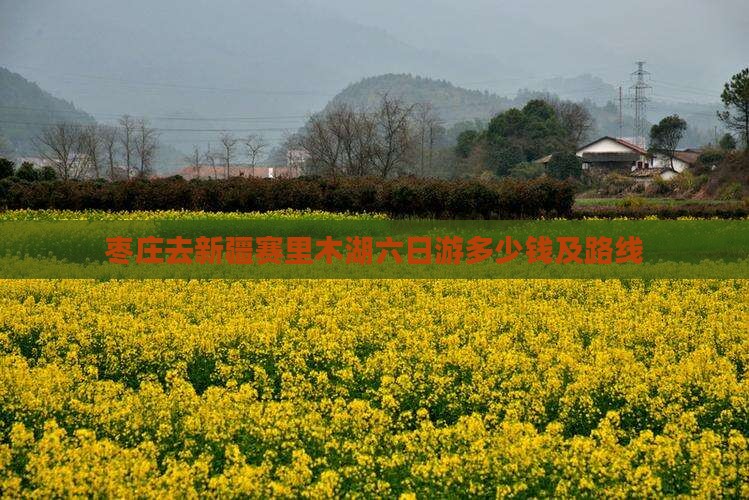 枣庄去新疆赛里木湖六日游