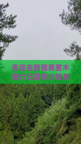 枣庄去新疆赛里木湖六日游