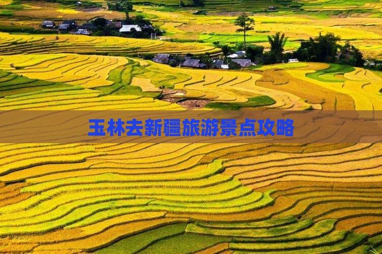玉林去新疆自由团