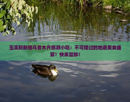 玉溪到新疆乌鲁木齐旅游小吃