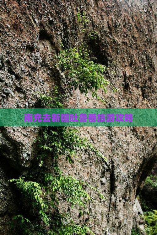 南充去新疆吐鲁番旅行社