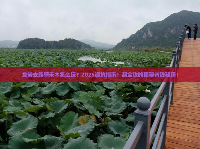 龙岩去新疆禾木哪里玩