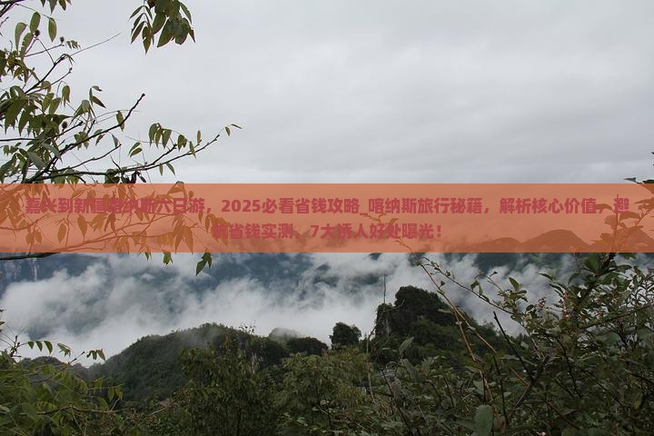 嘉兴到新疆喀纳斯六日游